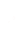 Force Logo